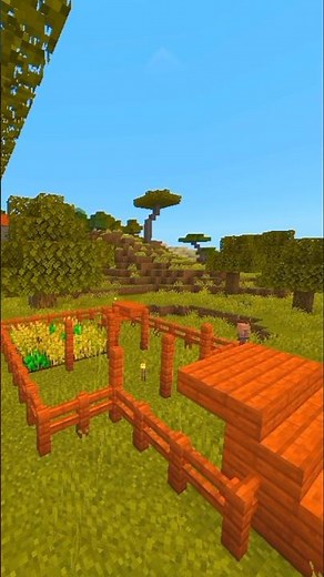 Building a Minecraft Village House