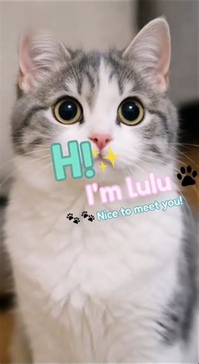 I Am Lulu