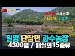 단장면 과수원(15종류의 과수와 엽채류) 급급매 시세반값