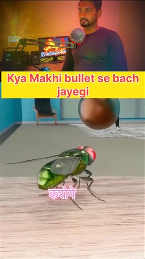 Kya makhi Bullet se Bach jayegi #markoxlab #facts #experiements