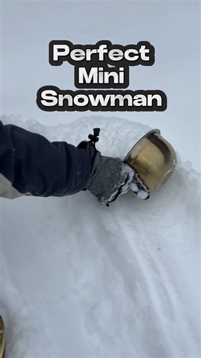 I made a perfect snowman with a bowl #snow #snowfall #shorts