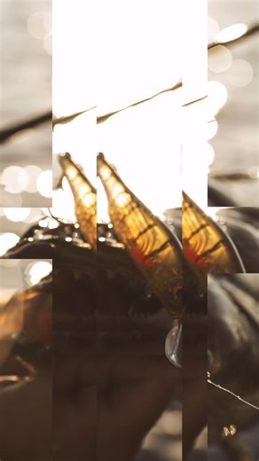 41 reactions |  Buy One, Get One FREE!  Now through April 28th,...