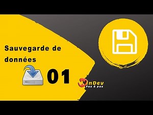 Sauvegarde de données