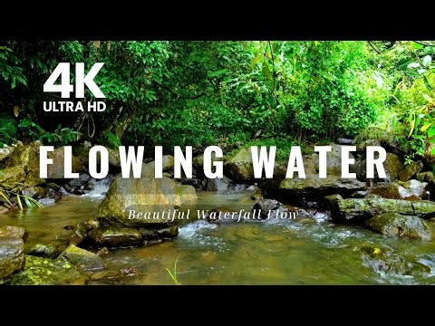 Beautiful Waterfall Flow & Forest Birds Chirping, Gentle Nature Sounds, Peaceful Forest River