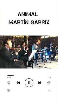 Cuarteto de cuerdas para eventos en Chile. Animal, Martín Garrix