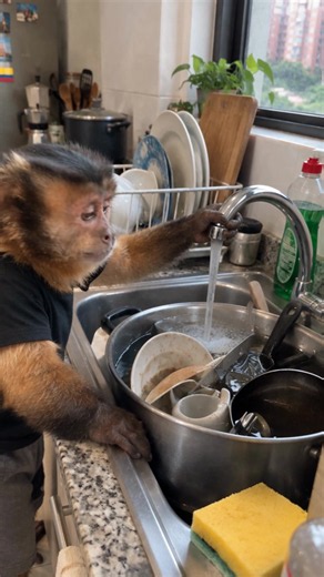 Chepe lavando cocina… la patrona manda 🫡 | cleaning kitchen