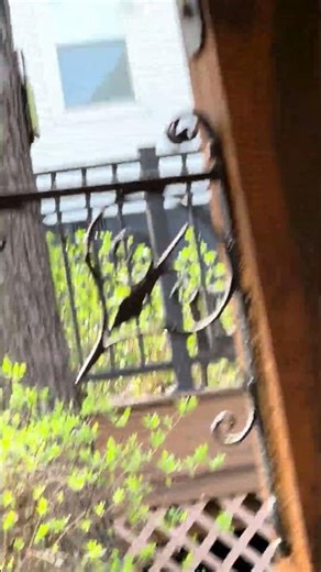 Cirrus SR22 N2275T flyby 4/14/2024