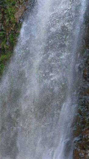 Relaxing waterfall sounds for sleep and meditation.#shortsfeed##trending #