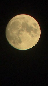 La pleine lune influence-t-elle vraiment notre sommeil ou est-ce une simple croyance populaire ? 🌕 De nombreuses personnes pensent que les nuits de pleine lune perturbent le sommeil, mais les avis sont partagés. Certains affirment mieux dormir, tandis que d'autres constatent des nuits agitées. 🌙🛌 ➡️ Que dit la science sur le sujet ? Découvrez les avis et études qui tentent de répondre à cette question sur notre site. #PleineLune #Sommeil #Croyances #BienÊtre #RTLInfo | RTL info.