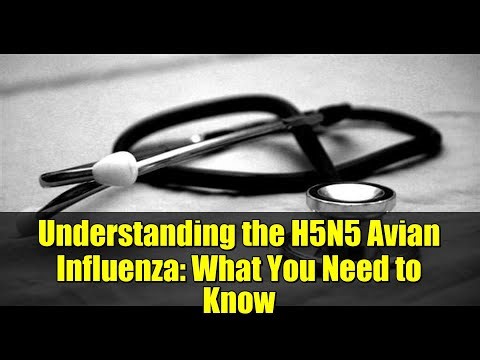 Understanding the H5N5 Avian Influenza: What You Need to Know