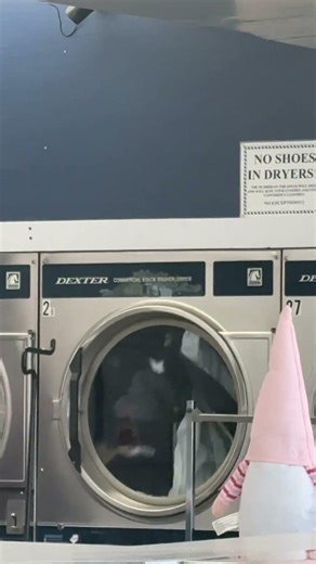 Dexter stacked dryer drying a big white sheet!