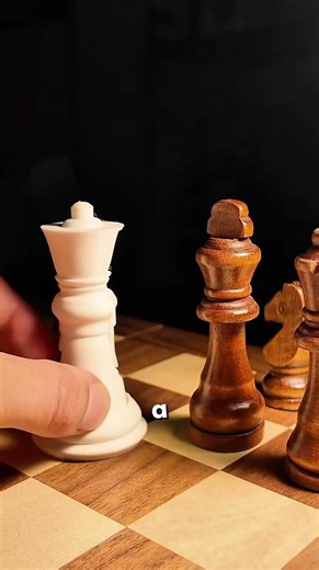 This guy made chess more fun🤩