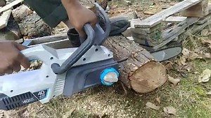 RedBack 40-Volt Cordless Chainsaw Lightweight Electric 12-Inch Chain Saw for Tree Pruning Branch Cutting with Battery and Charger