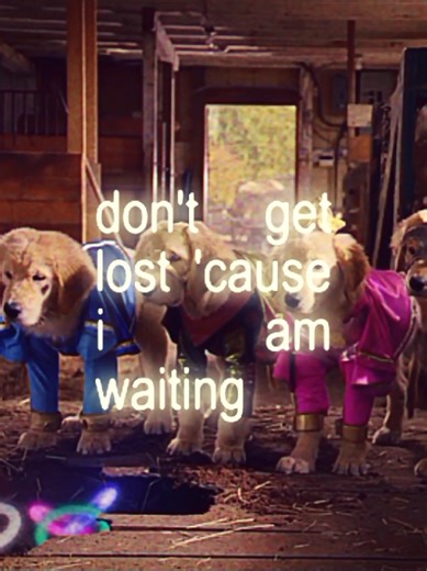 #SUPERBUDDIES - childhood movie❤️‍🩹 #superbuddies #пятеркасупергероев #пятёркасупергероев #b #dog #childhood #childhoodmovie #childhoodmovies #фильмдетства #детство #щп #щпост #edit #edits #эдит #собака #собакадругчеловека #собаки #щенок #щенки #пятерка #пятеркащенков #золотистыйретривер #пес #пёс #пёсики #псы #dog #dogs #dogsmovie #dogmovie #buddies #filmdog #dogshero #смыслжизни #superbuddie #robertvince #waltdisneystudios #waltdisney #disney #keypix #airbud #airbudentertainment #disneybuddie