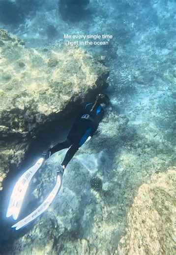 Literally me the second I get in the ocean 🌊🧜🏼‍♀️🩵 #oceanlover #oceansoul #mermaid #girlswhofreedive #freediving