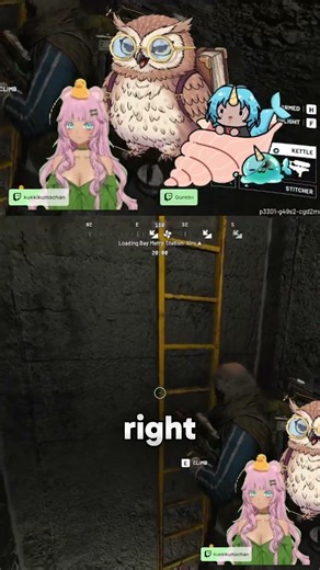 Ladder Tech & Circus Act Teamwork!