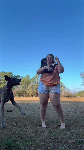 Unexpected Dog and Cat Encounter Captured on Video