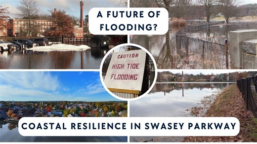 5.5K views · 53 reactions | Earlier this month, King Tides were...