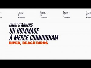 18e Biennale de la danse : Merce Cunningham / BIPED, Beach Birds