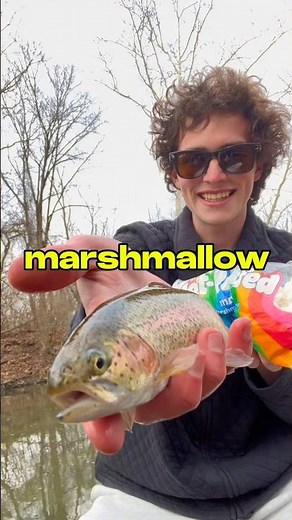 I Caught Fish Using a MARSHMALLOW 🐟🎣 #fishing
