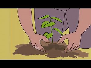 Animated Tree Plantation