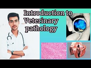 Introduction to Veterinary pathology || Vet study || by Aniket tyagi
