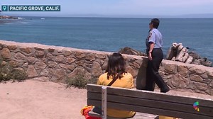 Shark attack in California leaves swimmer with significant injuries, police say