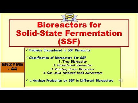 Bioreactors for Solid-State Fermentation (SSF) | Alpha amylase production in Bioreactor | Enzyme 45