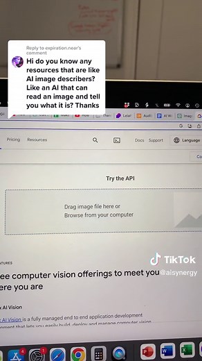 Utilizing AI to Analyze and Explain Images