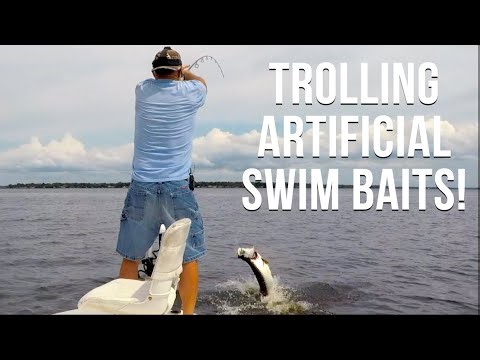 Trolling Swim Baits For St. Johns River Tarpon Palatka