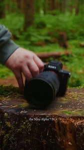 Hybrid Performance. Professional Quality. | Sony - Alpha Universe