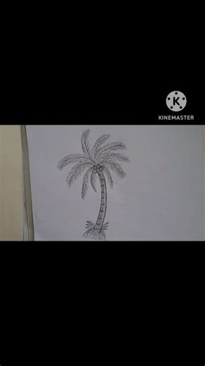Coconut tree 🌴 art with 4b pencil| #pencilart #artist #foryouシpage #coconuttree|| | Ayra art and drawing