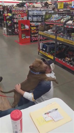 CONTEST ANNOUNCEMENT: ENTER TO WIN A LIFETIME SUPPLY OF FREE HUGS Stop on down at Tractor Supply in Simsbury before noon for a free sample! To win you must apply and be approved to adopt our WDP graduate Cruise from All About The Dogs Rescue! Winner will receive all of Cruise’s love and admiration, endless kisses and hugs, and snuggles! | Waterbury Woof Pack CT