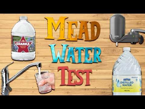 Mead Water Test (Tap, Filtered, RO & Spring)
