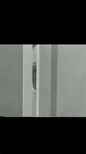 18K views · 522 reactions | The real Chef Boyardee... 1953 | Daily Historical Pictures and Videos | Facebook