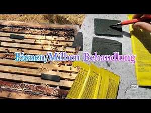 Bienen/Milben Behandlung