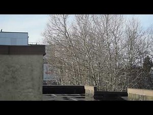 D3300 live view AF speed
