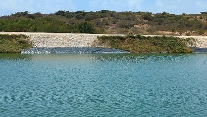 Did you know that some sewage treatment plants using ponds are viewed as a wetland to many birds? I encountered some Barn Swallows skimming some stuff off the surface of the water; possible algae or freshwater insects. Science is so cool. #Roostersworldja | Roosters World | Facebook