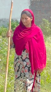 Gojri geet new song new gana superhit song new update gojri ohari | Sofia KhanRhythm