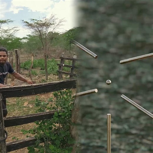 arrancando caña #shortvideo #comedia #humor