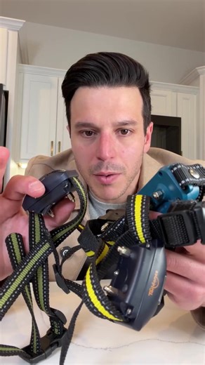 Effective Dog Training Tips Using E-Collars