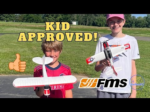 FMS PA-18 and T-28 Mini RC Plane review - Beginner RC Plane