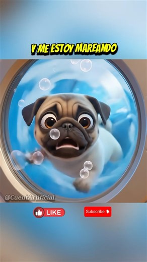 The puppy's mom came out of the washing machine 🤯😱