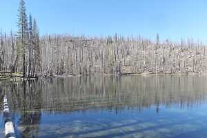 Feeling the burn: Wildfires increasingly threaten US lakes