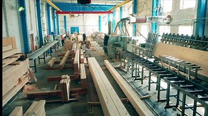 Wood-processing plant with lots of timber and equipment