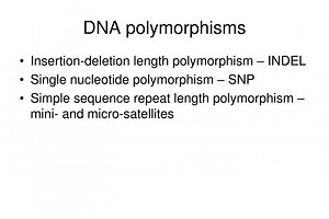 DNA polymorphisms - SlideServe