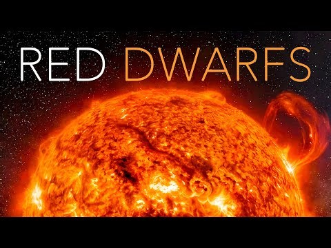RED DWARFS: When Everything Fades, They Will Still Be There