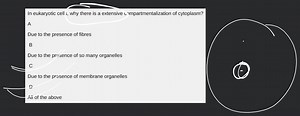 In eukaryotic cells, why there is a extensive compartmentalizat... | Filo