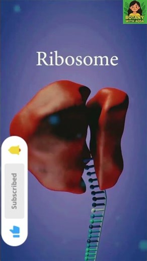 mRNA Explained in 30 Seconds | Molecular Biology Short|