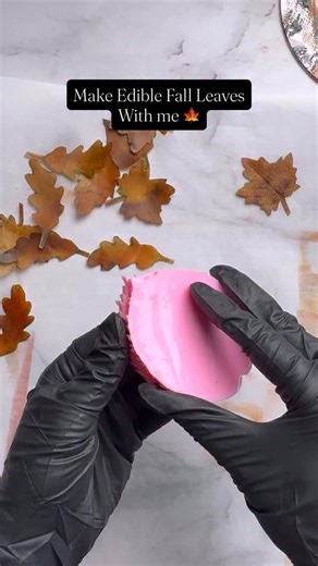 18K views · 1K reactions | Comment ‘Fall’  if you’d like to download my free fall leaves template for your next cake project! | Funky Batter | Facebook